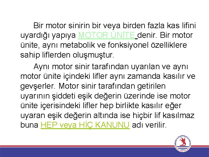 Bir motor sinirin bir veya birden fazla kas lifini uyardığı yapıya MOTOR ÜNİTE denir.
