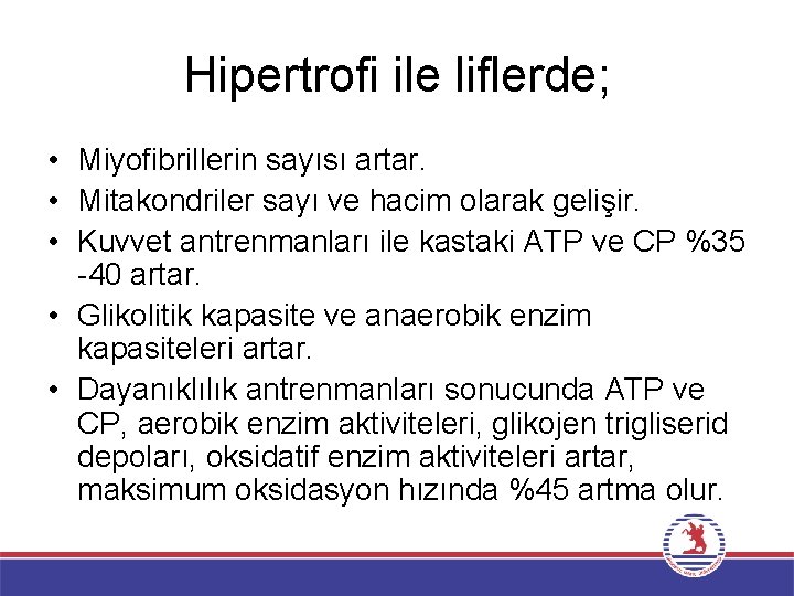 Hipertrofi ile liflerde; • Miyofibrillerin sayısı artar. • Mitakondriler sayı ve hacim olarak gelişir.