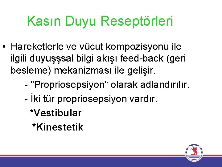 Kasın Duyu Reseptörleri • Hareketlerle ve vücut kompozisyonu ile ilgili duyuşşsal bilgi akışı feed-back