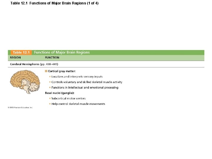 Table 12. 1 Functions of Major Brain Regions (1 of 4) 