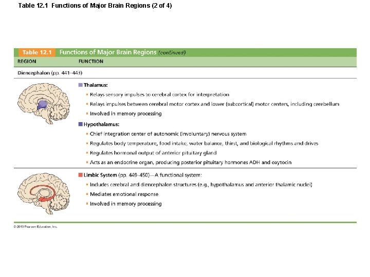 Table 12. 1 Functions of Major Brain Regions (2 of 4) 