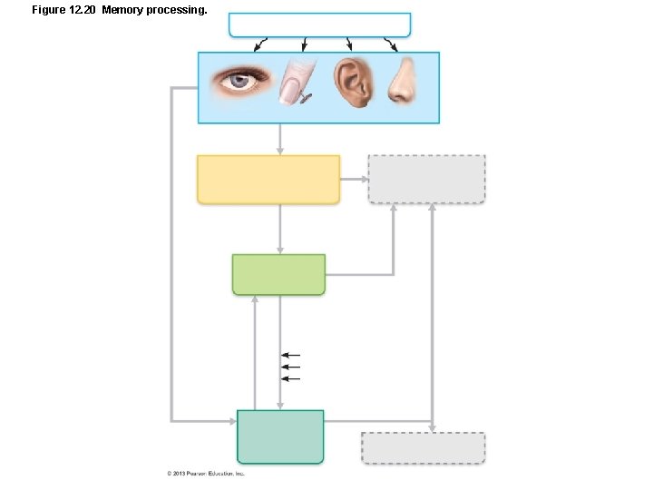 Figure 12. 20 Memory processing. 