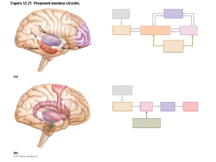 Figure 12. 21 Proposed memory circuits. 