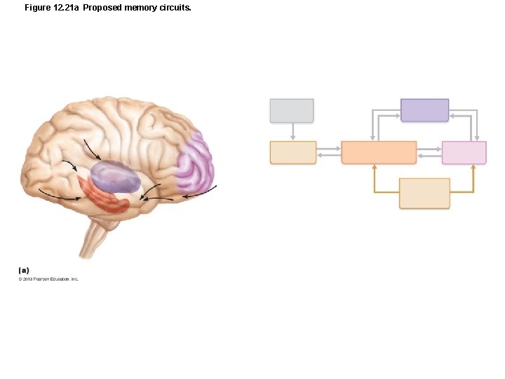 Figure 12. 21 a Proposed memory circuits. 