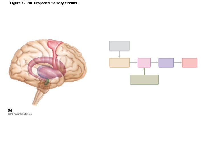 Figure 12. 21 b Proposed memory circuits. 