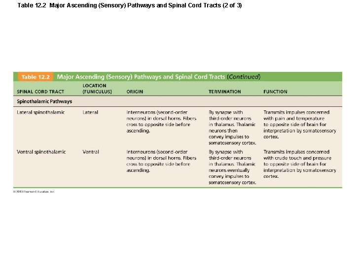 Table 12. 2 Major Ascending (Sensory) Pathways and Spinal Cord Tracts (2 of 3)