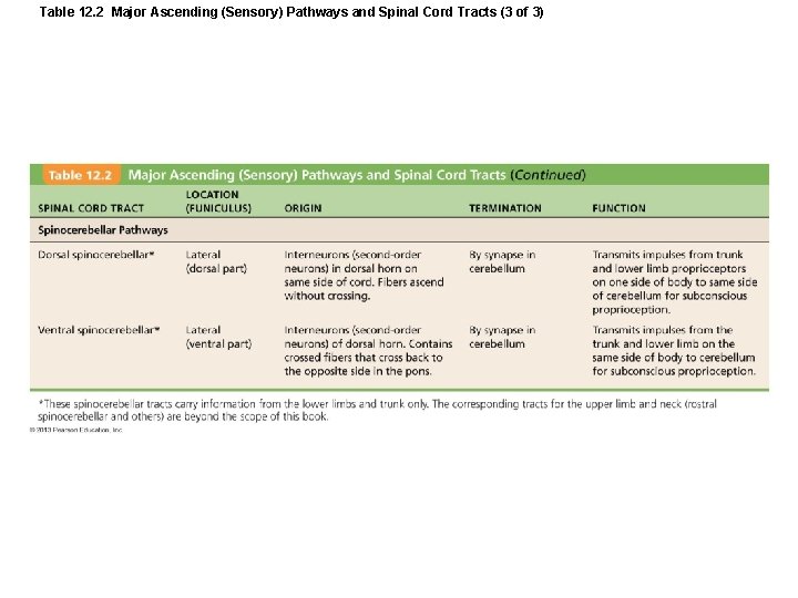 Table 12. 2 Major Ascending (Sensory) Pathways and Spinal Cord Tracts (3 of 3)