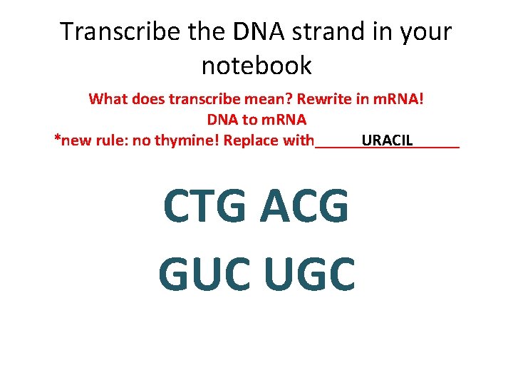 Transcribe the DNA strand in your notebook What does transcribe mean? Rewrite in m.