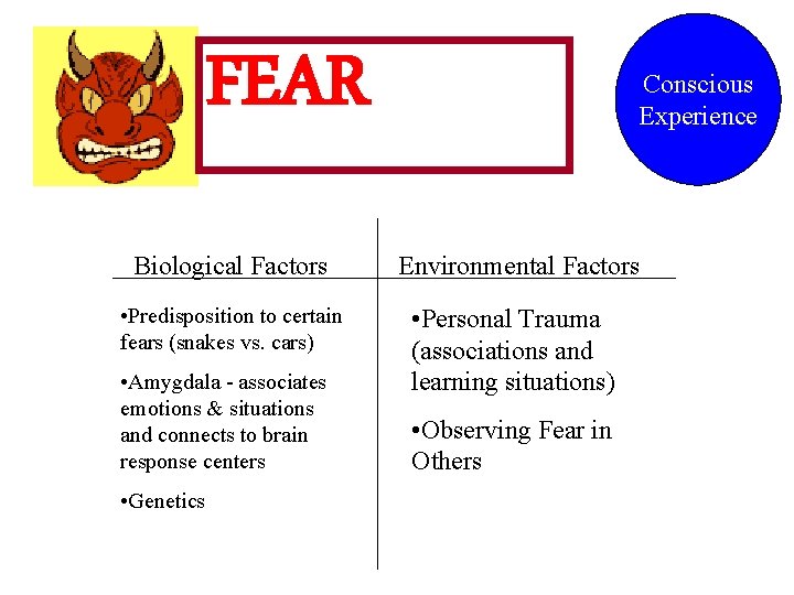 FEAR Conscious Experience Biological Factors Environmental Factors • Predisposition to certain fears (snakes vs.
