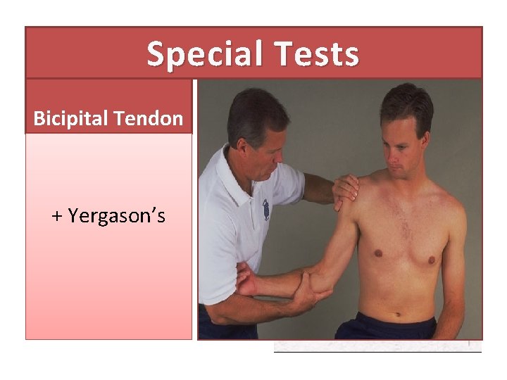 Special Tests Bicipital Tendon + Yergason’s 