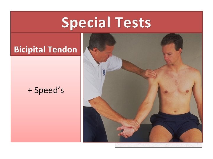 Special Tests Bicipital Tendon + Speed’s 