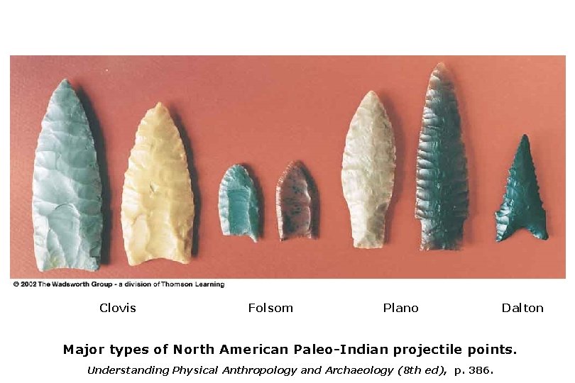 Clovis Folsom Plano Dalton Major types of North American Paleo-Indian projectile points. Understanding Physical