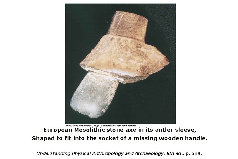 European Mesolithic stone axe in its antler sleeve, Shaped to fit into the socket