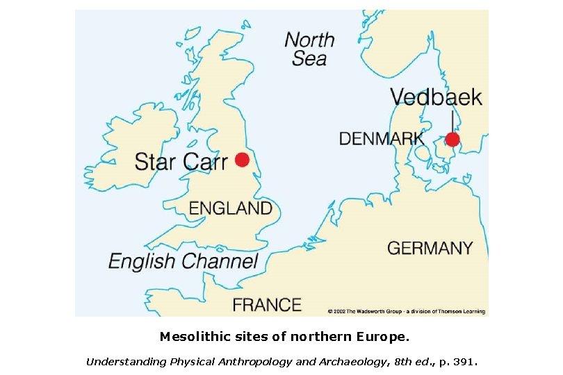 Mesolithic sites of northern Europe. Understanding Physical Anthropology and Archaeology, 8 th ed. ,