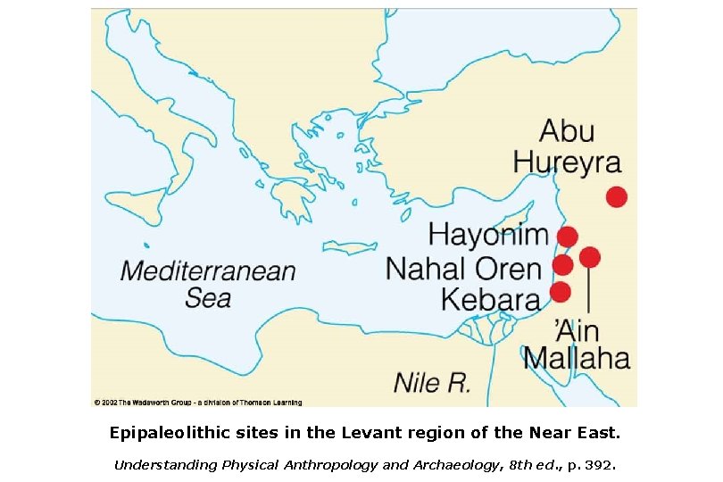 Epipaleolithic sites in the Levant region of the Near East. Understanding Physical Anthropology and