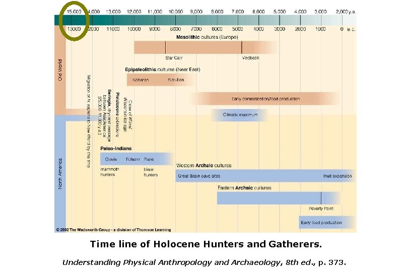 Time line of Holocene Hunters and Gatherers. Understanding Physical Anthropology and Archaeology, 8 th