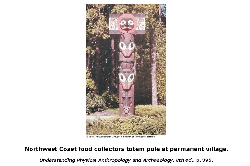 Northwest Coast food collectors totem pole at permanent village. Understanding Physical Anthropology and Archaeology,