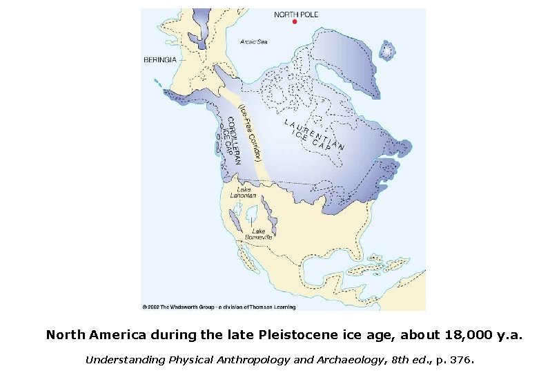 North America during the late Pleistocene ice age, about 18, 000 y. a. Understanding