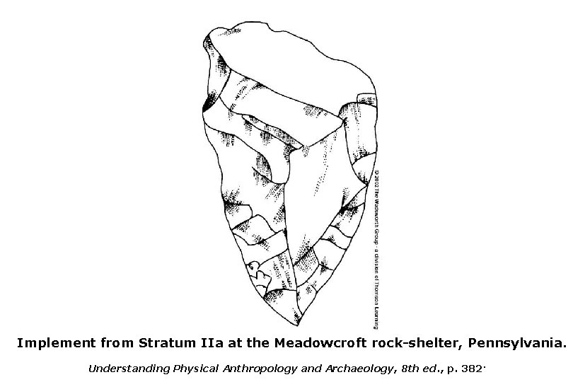 Implement from Stratum IIa at the Meadowcroft rock-shelter, Pennsylvania. Understanding Physical Anthropology and Archaeology,