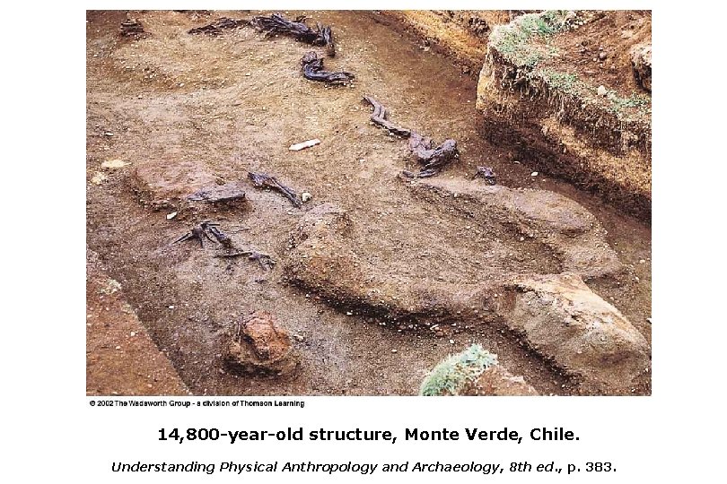 14, 800 -year-old structure, Monte Verde, Chile. Understanding Physical Anthropology and Archaeology, 8 th