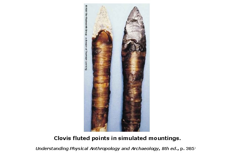 Clovis fluted points in simulated mountings. Understanding Physical Anthropology and Archaeology, 8 th ed.