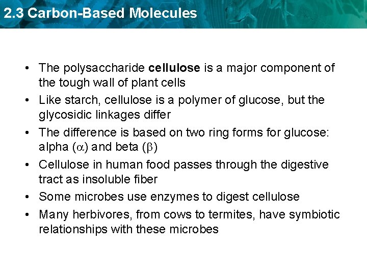 2. 3 Carbon-Based Molecules • The polysaccharide cellulose is a major component of the