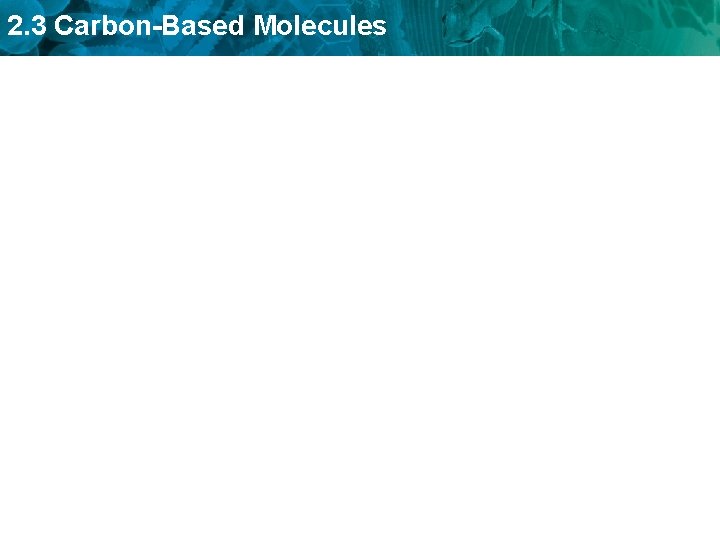 2. 3 Carbon-Based Molecules 