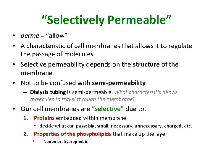 “Selectively Permeable” • perme = “allow” • A characteristic of cell membranes that allows