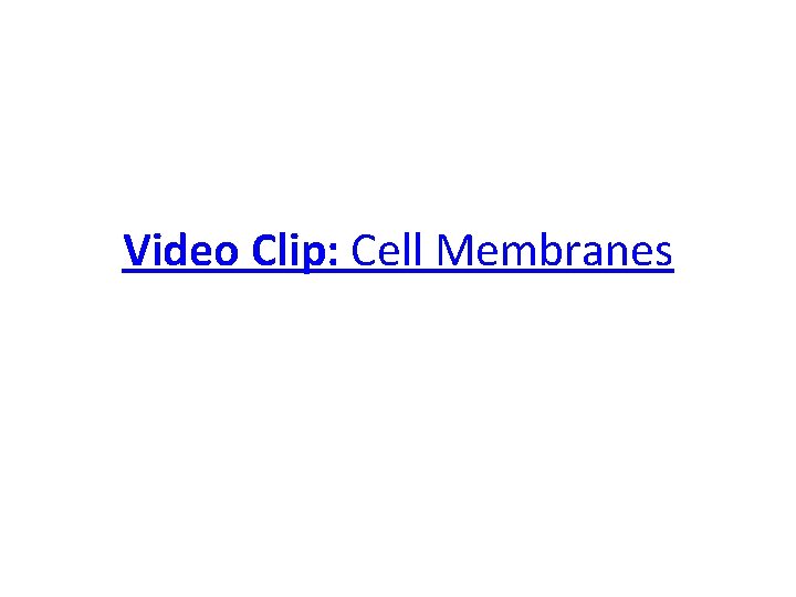 Video Clip: Cell Membranes 