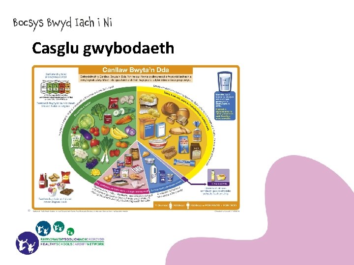 Casglu gwybodaeth 