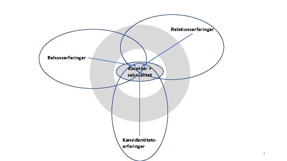Relationserfaringer Behovserfaringer Karakter + seksualitet Kønsidentitetserfaringer 4 