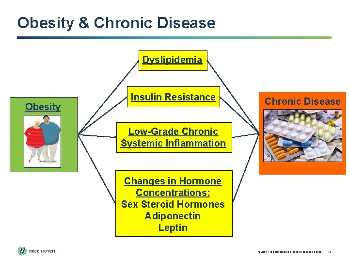 Obesity & Chronic Disease Dyslipidemia Obesity Insulin Resistance Chronic Disease Low-Grade Chronic Systemic Inflammation