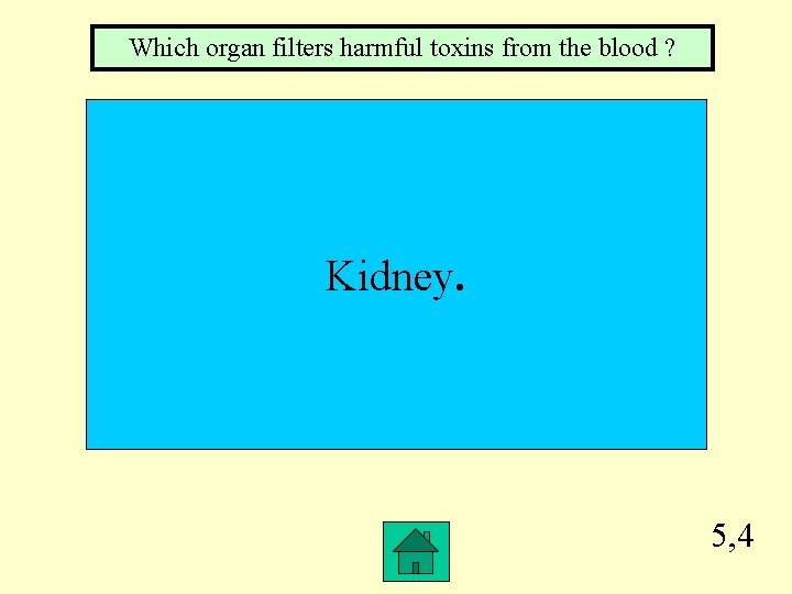 Which organ filters harmful toxins from the blood ? Kidney. 5, 4 Which organ filters harmful toxins from the blood ? Kidney. 5, 4