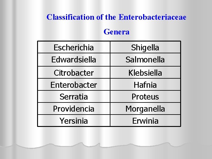 Classification of the Enterobacteriaceae Genera Escherichia Edwardsiella Shigella Salmonella Citrobacter Enterobacter Serratia Providencia Yersinia