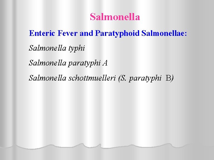Salmonella Enteric Fever and Paratyphoid Salmonellae: Salmonella typhi Salmonella paratyphi A Salmonella schottmuelleri (S.
