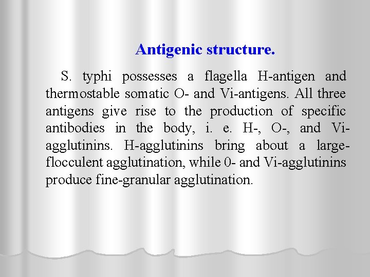 Antigenic structure. S. typhi possesses a flagella H-antigen and thermostable somatic O- and Vi-antigens.