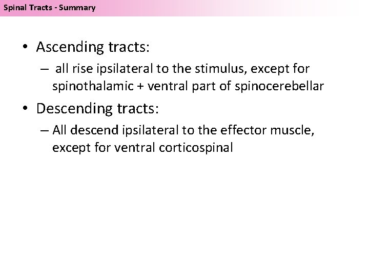 Spinal Tracts - Summary • Ascending tracts: – all rise ipsilateral to the stimulus,