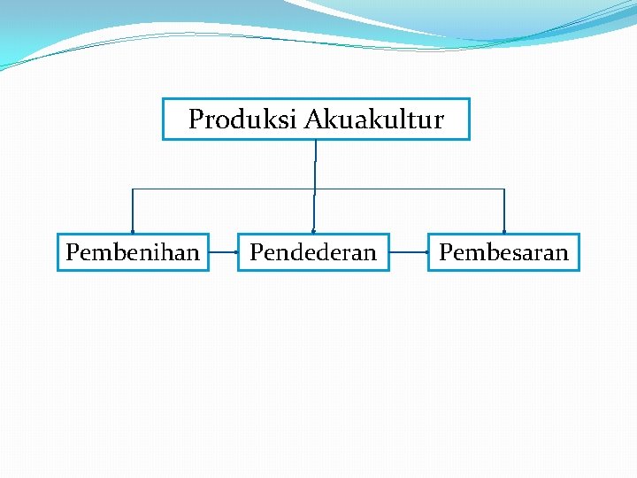 Produksi Akuakultur Pembenihan Pendederan Pembesaran 