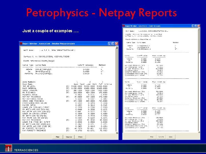 Petrophysics - Netpay Reports Just a couple of examples …. TERRASCIENCES 