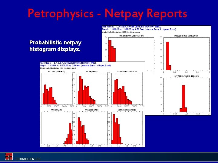 Petrophysics - Netpay Reports Probabilistic netpay histogram displays. TERRASCIENCES 