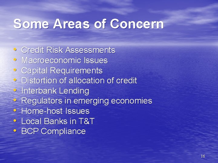 Some Areas of Concern • • • Credit Risk Assessments Macroeconomic Issues Capital Requirements