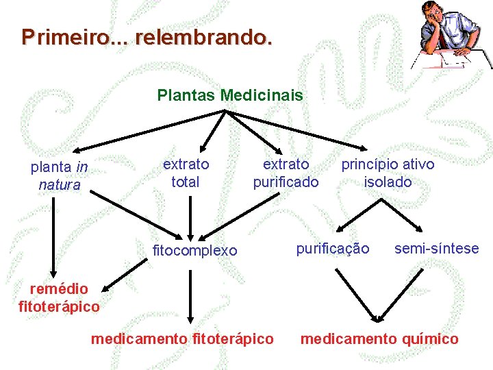 Primeiro. . . relembrando. Plantas Medicinais extrato total planta in natura extrato purificado fitocomplexo