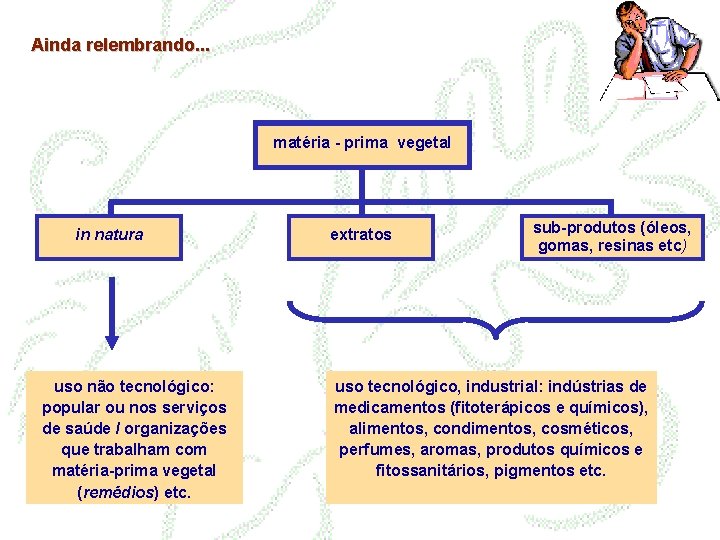 Ainda relembrando. . . matéria - prima vegetal in natura uso não tecnológico: popular