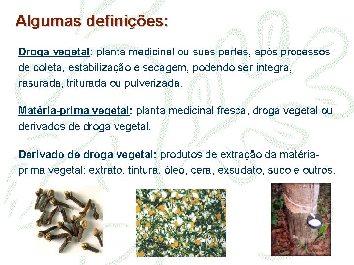 Algumas definições: Droga vegetal: planta medicinal ou suas partes, após processos de coleta, estabilização