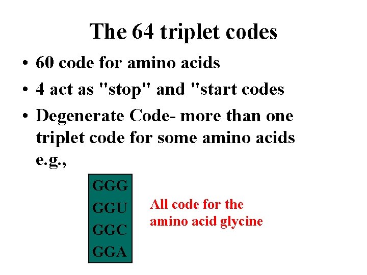 The 64 triplet codes • 60 code for amino acids • 4 act as