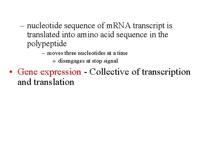 – nucleotide sequence of m. RNA transcript is translated into amino acid sequence in