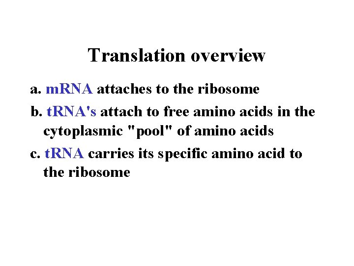 Translation overview a. m. RNA attaches to the ribosome b. t. RNA's attach to