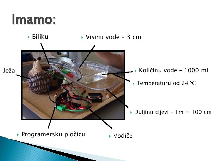 Imamo: 