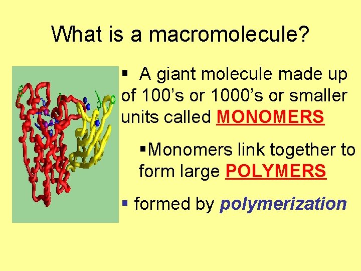 What is a macromolecule? § A giant molecule made up of 100’s or 1000’s