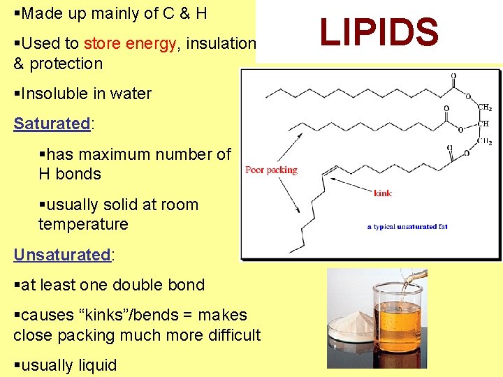 §Made up mainly of C & H §Used to store energy, insulation & protection